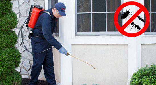 Şarkikaraağaç Fare İlaçlama böcek ilaçlama ve haşere kontrolü — ilaclama-tr.com